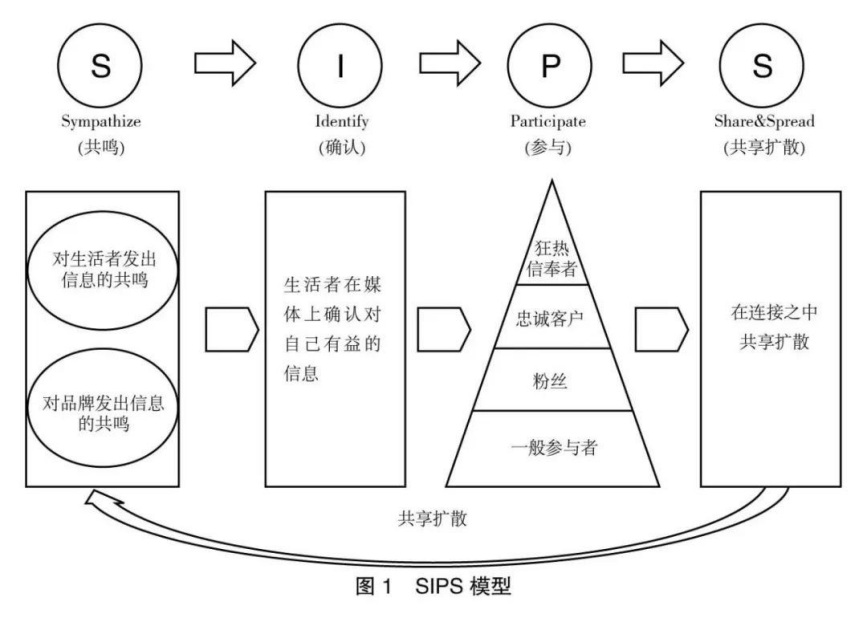 SIPS模型