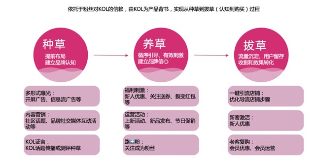 案例分享：如何開辟企業增長的第二曲線｜歐賽斯商業研究