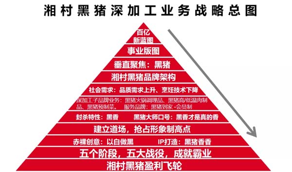 歐賽斯商業洞察：豬肉市場研究及湘村黑豬戰略破局