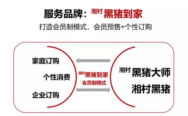 歐賽斯商業洞察：豬肉市場研究及湘村黑豬戰略破局