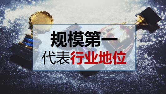 千億啄木鳥“殺手锏”：家庭維修信息對稱性之規模全國第一