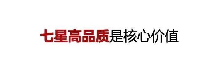 如果世界上只有5塊瓷磚，其中1塊就叫大將軍-大將軍品牌戰略破局策劃深度揭秘