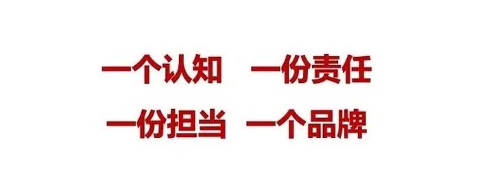 如果世界上只有5塊瓷磚，其中1塊就叫大將軍-大將軍品牌戰略破局策劃深度揭秘