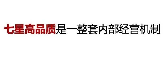 如果世界上只有5塊瓷磚，其中1塊就叫大將軍-大將軍品牌戰略破局策劃深度揭秘