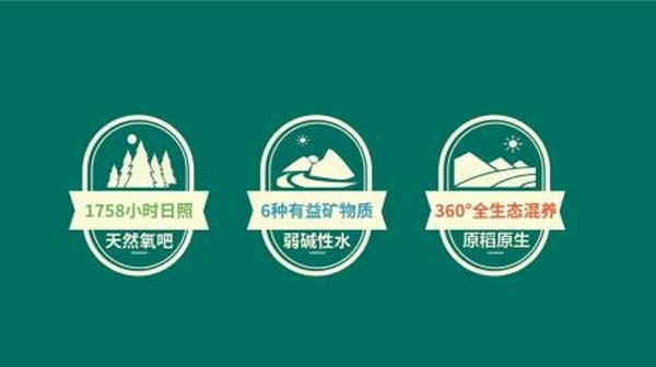 瑤珍大米：升級產品線，年銷售額增長40%