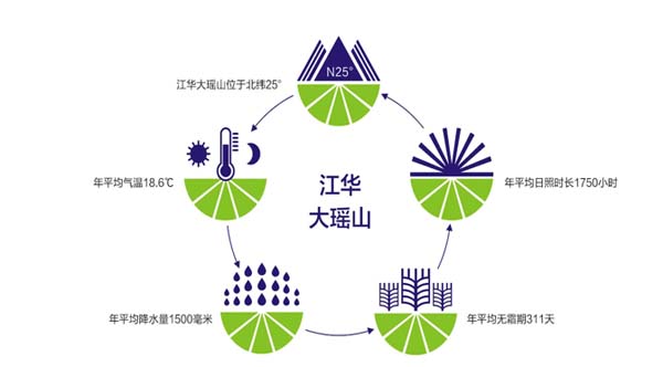 瑤珍大米：升級產品線，年銷售額增長40%