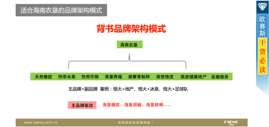 品牌戰略，背書品牌架構集中投資海南農墾品牌資產