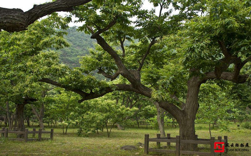 懷柔黃花城水長城團(tuán)建拓展訓(xùn)練