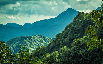 成都都江堰團建好去處之一青城后山