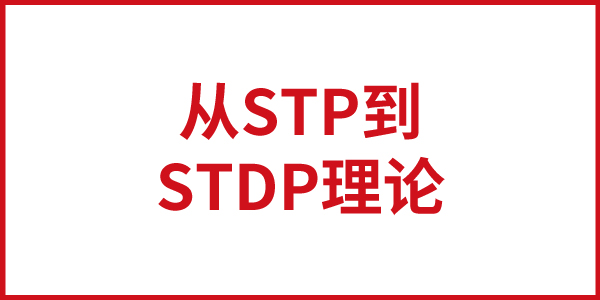 從STP到STDP理論